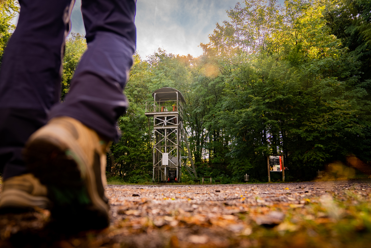 Der Bergische Wandertag findet in diesem Jahr auf dem Bergbauweg statt