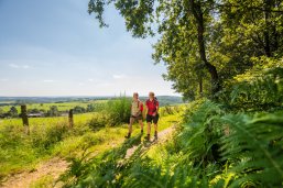 Wanderer auf dem Bergischen Wanderweg