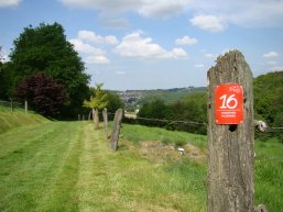 Wanderschild des Streifzug 16 (Pilgerweg)