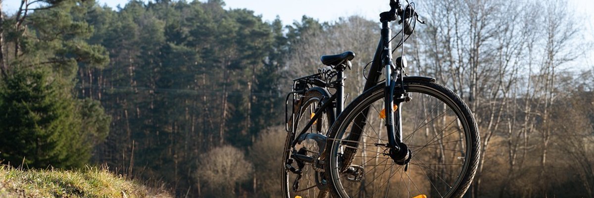 Fahrrad auf einem Weg