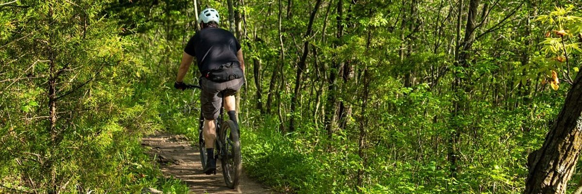 Mountainbiker im Wald
