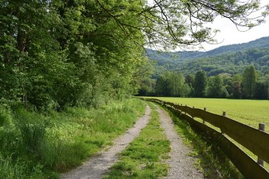 Wanderweg an einer Wiese